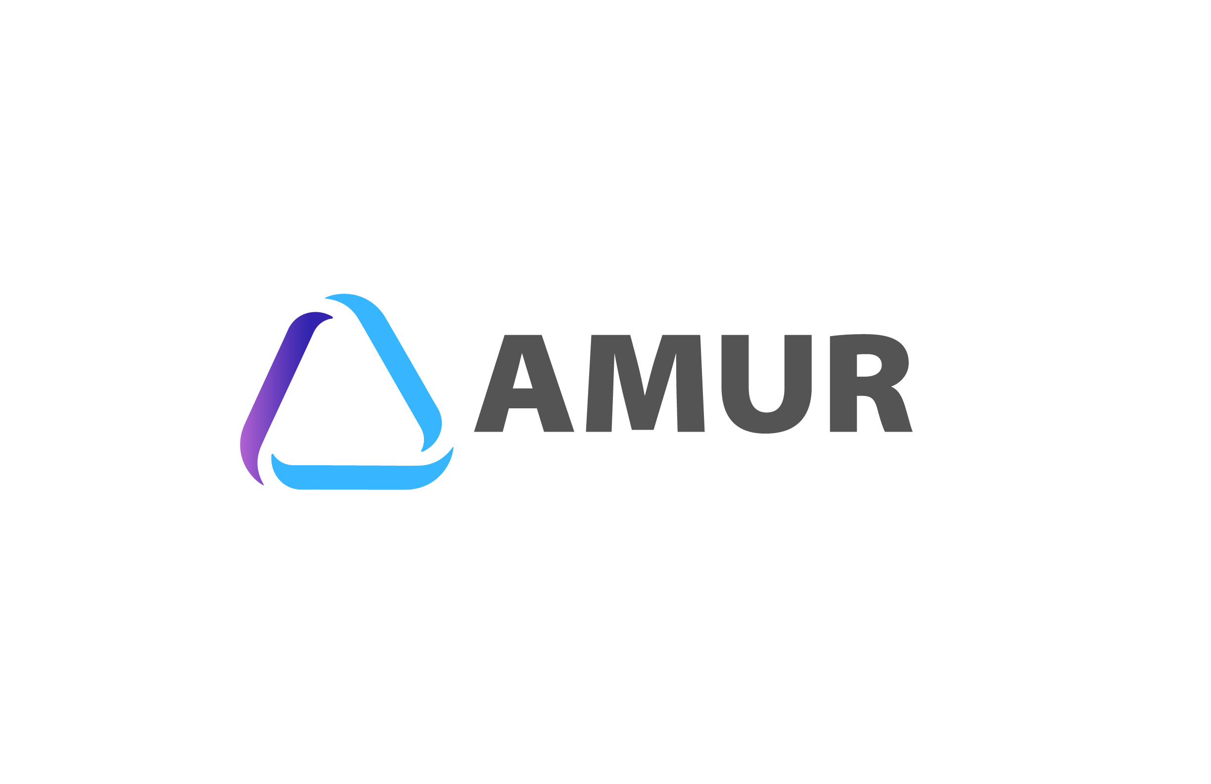 AMUR MARINE SURVEY PTE . LTD.